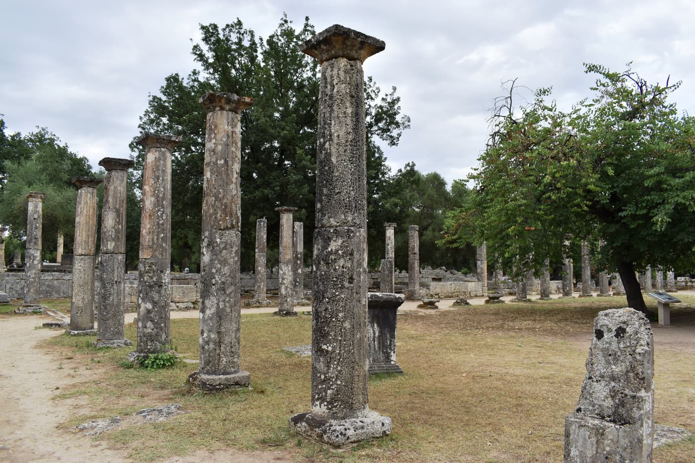 Rows of restored Doric columns in the Palaestra at Olympia