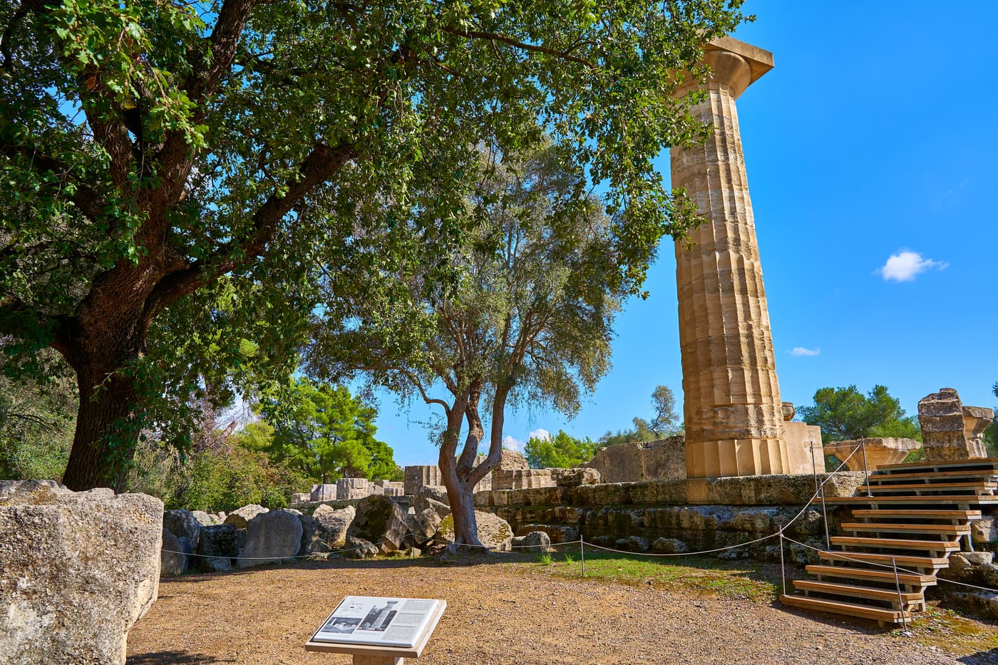 The Temple of Zeus at Olympia with its re-erected column among the trees